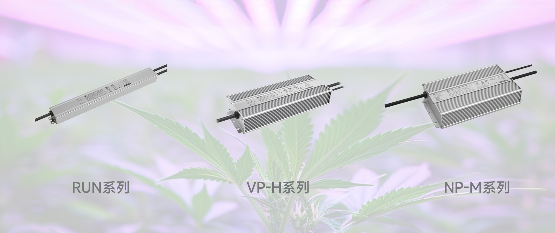 首页- 腾博官网诚信为本,专业服务!