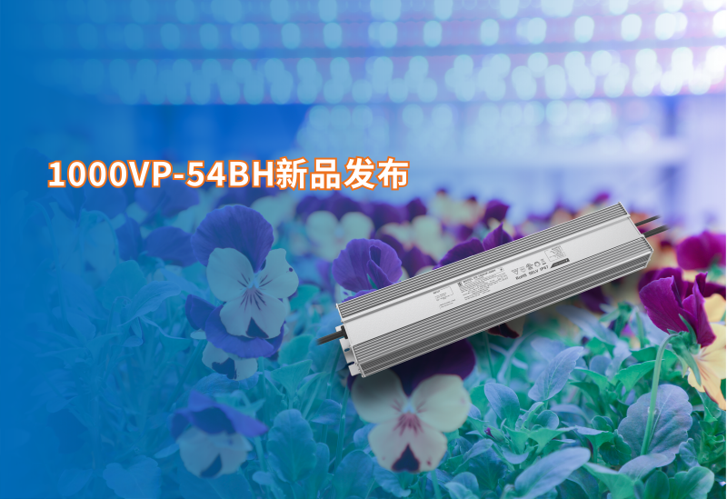  新品资讯 ▏大功率1000VP新品颁布